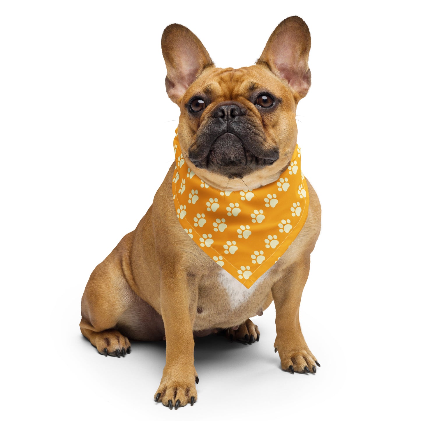 Paw bandana