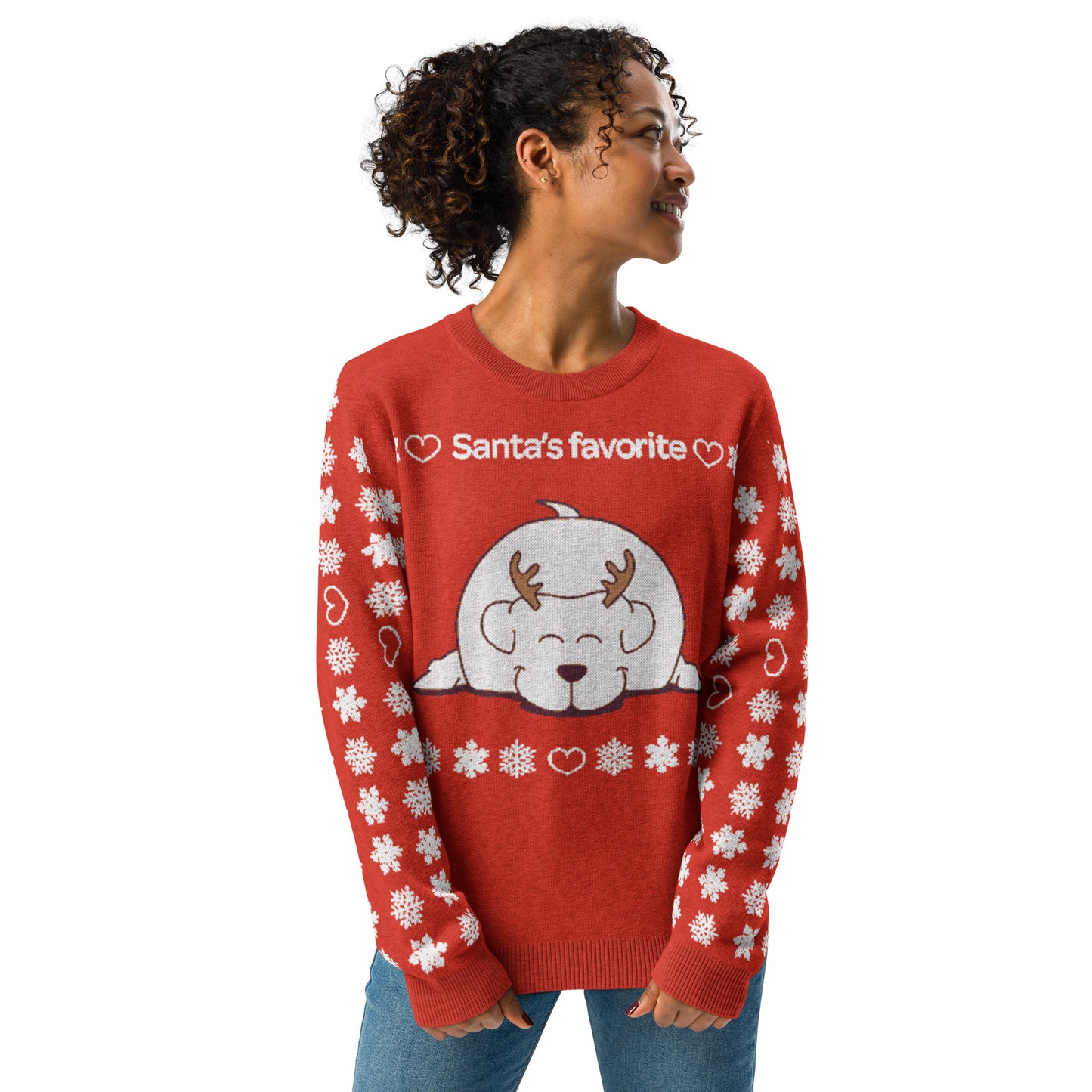 Santa's Favorite | Knitted crew neck sweater